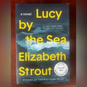 Lucy by the Sea by Elizabeth Strout